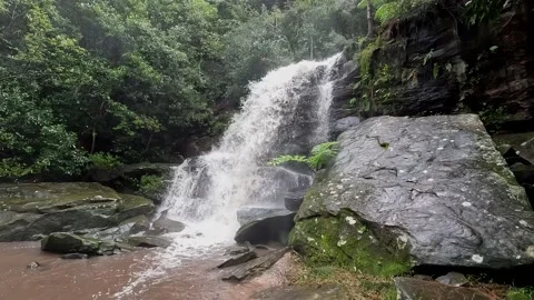 Waterfall after rain Stock Footage 201862087