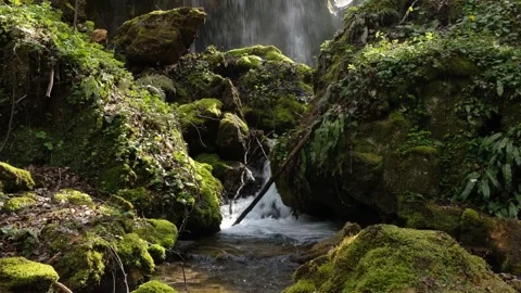 Waterfall in Albania Stock Footage 314434533