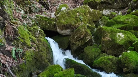 Waterfall in Albania Stock Footage 314434562