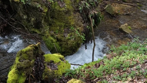 Waterfall in Albania Stock Footage 314445630