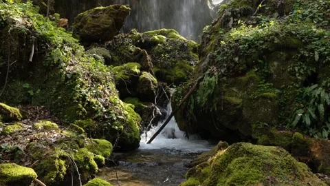 Waterfall in Albania Stock Footage 314445670