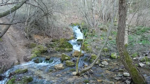 Waterfall in Albania Stock Footage 314449343