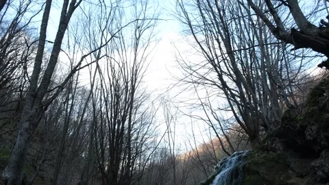 Waterfall in Albania Stock Footage 314449576