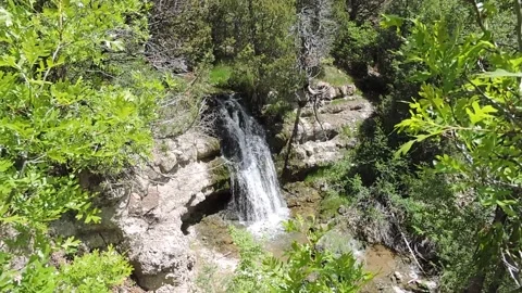 Waterfall along 5th Waters trail Stock Footage 150977630