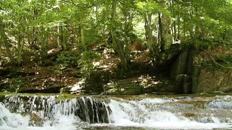 Waterfall in alpine forest. Stock Footage 32328032