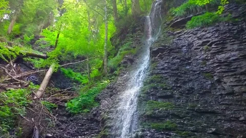 Waterfall in alpine forest. Stock Footage 72034622