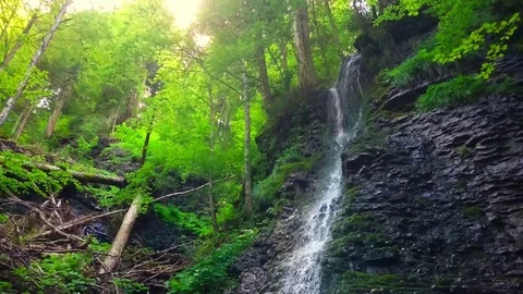 Waterfall in alpine forest. Video stock 72034714