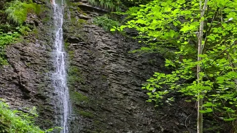 Waterfall in alpine forest. 스톡 동영상 72048335