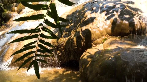 Waterfall, amazing light Stock Footage 138752241