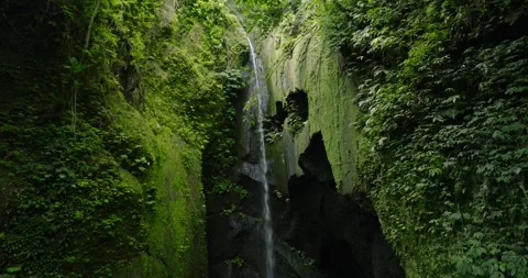 Waterfall amidst green forest with lush terrestrial plants and trees Stock Footage 267649903
