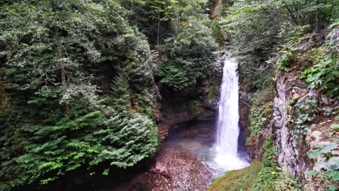 Waterfall amon forest Stock Footage 147048361