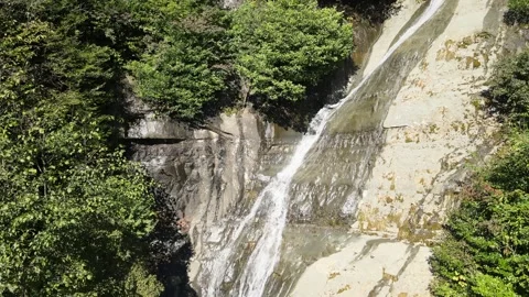 Waterfall among forest Stock-Footage 238670313