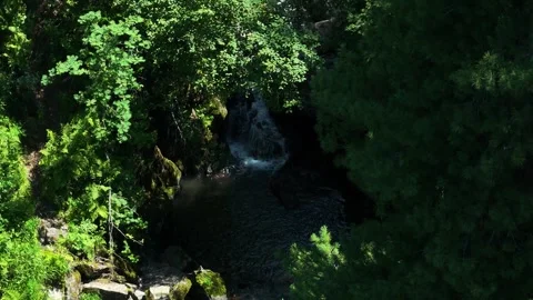 Waterfall Among Green Bushes Stock Footage 259696374