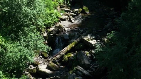 Waterfall Among Green Bushes Stock Footage 259697055