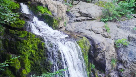 Waterfall among mossy rocks. Stock-Footage 212536460