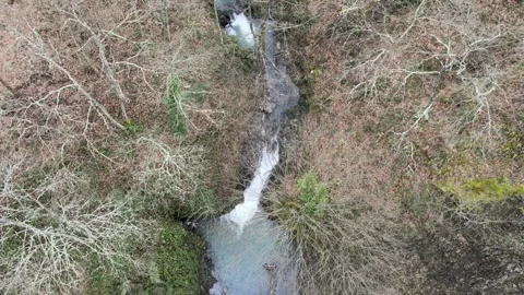 Waterfall among trees autumn Video stock 263798422