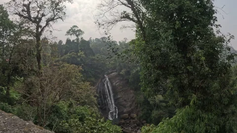 Waterfall among trees in Kerala Stock Footage 327208074