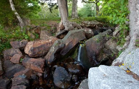 Waterfall among trees Stock Photos