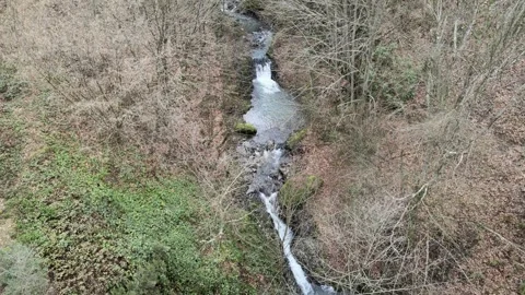 Waterfall among woods Stock Footage 264011580