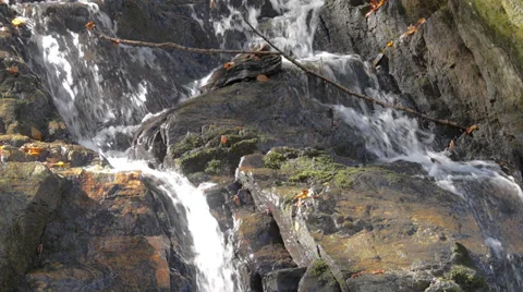 Waterfall and branch Stock Footage 32015095
