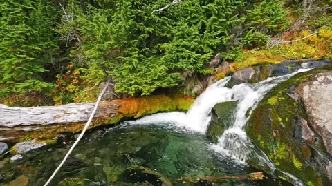 Waterfall and Crystal Clear Pool on the Reflection Lake Trail in Mount Rainier N Stock Footage 332139318