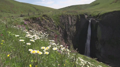 Waterfall and Flowers in cornwall Video stock 31745820