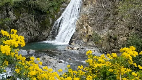 Waterfall and flowers Stock-Footage 129731437