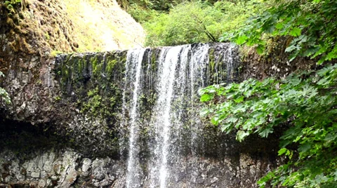 Waterfall and Forest Stock Footage 32216777
