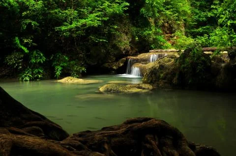 Waterfall and forest Stock Photos