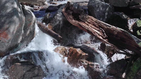A Waterfall and Forgotten Logs Stock Footage 251283173