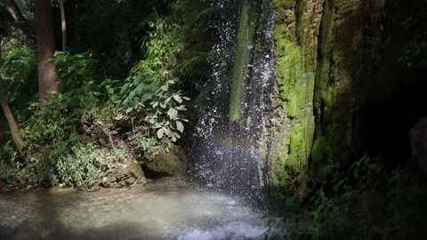 Waterfall and green moss   Stock Footage 154339851