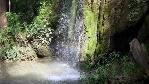 Waterfall and green moss   Stock Footage 154339868