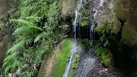 Waterfall and green moss   Stock Footage 154339881