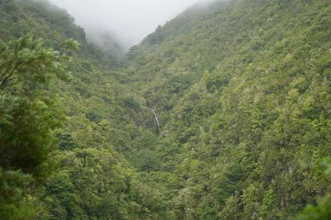 Waterfall and Green Valley at Levada do Caldeirão Verde, PR9 Fotos Stock