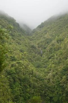 Waterfall and Green Valley at Levada do Caldeirão Verde, PR9 Fotos Stock