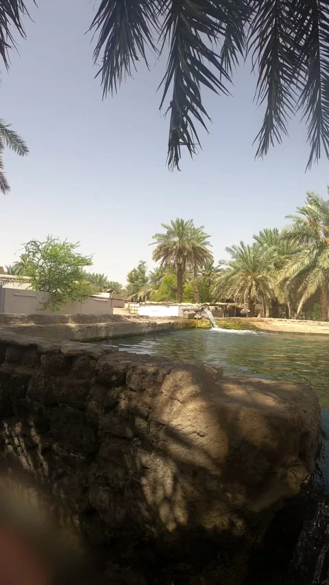 Waterfall and Irrigation Pool at The Garden Vídeo Stock 338307079