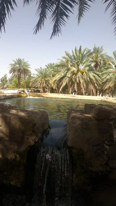 Waterfall and Irrigation Pool in Orchard Видео 338307053
