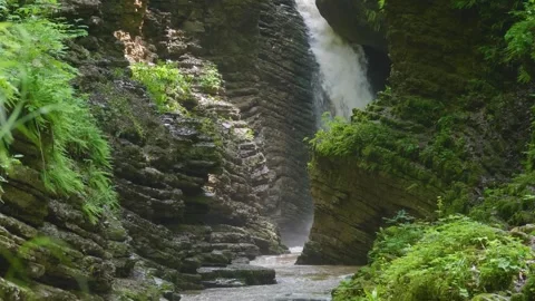 Waterfall and Layered Rock Formations in a Lush Green Gorge Stock Footage 325636997