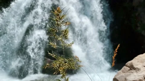 Waterfall and leaf Stock Footage 198803552