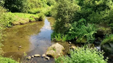 Waterfall and little stream in the Mountain Park, Kassel, Germany Stock Footage 331452138