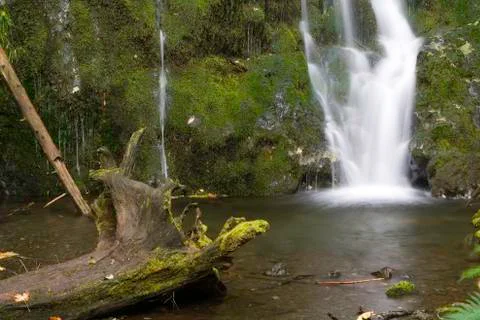 Waterfall and log Stock Photos