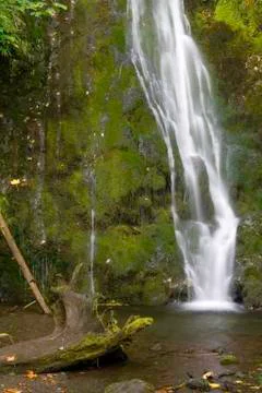 Waterfall and log Stock Photos