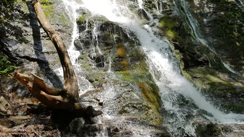 Waterfall and moss 스톡 동영상 90877639