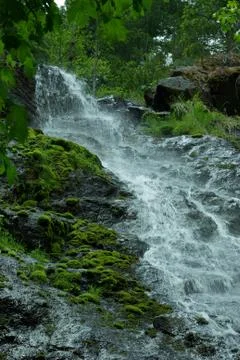 Waterfall and moss Stock Photos