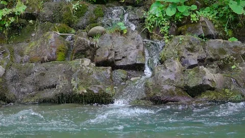 Waterfall and Mountain River Stock Footage 77974824