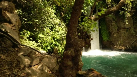 Waterfall and Natural Pool at Banias Nature Reserve Israel Stockbeeldmateriaal 337627774