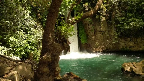 Waterfall and Natural Pool at Banias Nature Reserve Israel Vídeos de archivo 337627783