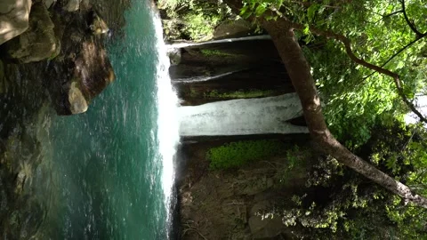 Waterfall and Natural Pool at Banias Nature Reserve Israel Vidéo 337627844