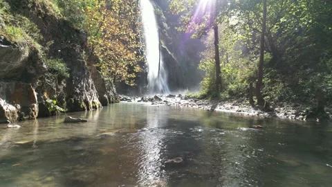Waterfall and nature Stock Footage 222735819