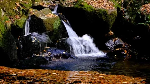 Waterfall and nature. Video stock 268898332